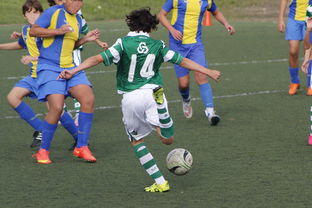 九游网-中国足球赛事直播流量与关注度指数追踪，中国足球关注度数据