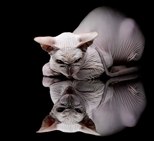 九游体育网址-中国三人篮球女队配合日趋默契，中国三人篮球女队获得的成绩