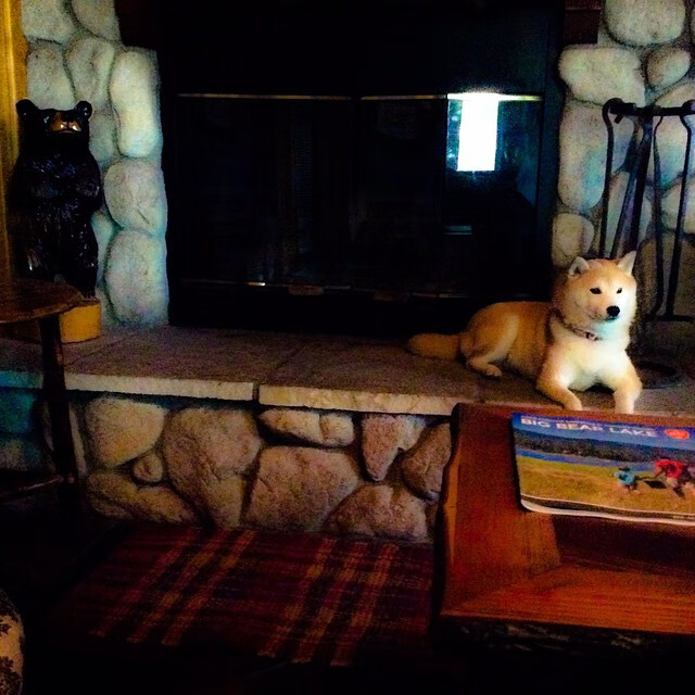 九游jiuyou-罗马尼亚队赛制分析：如何通过战术调整增强团队整体竞争力，罗马尼亚已组联赛