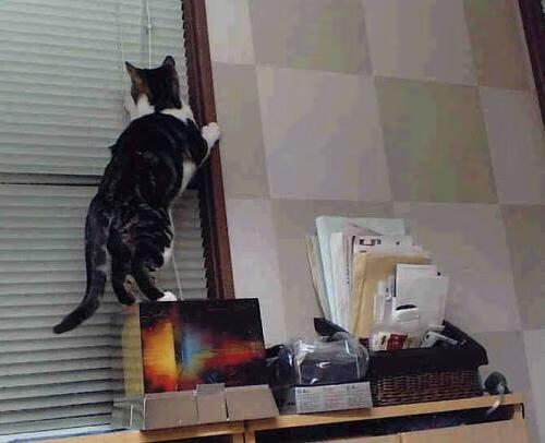 九游电竞中心-马赛后防集中度提升力保零封