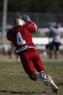 九游电竞-击全运赛场｜跳水开赛首日，陈艺文林珊领衔广东队出战，陈艺文全运会跳水女子3米跳板夺金