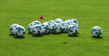 9游app-国际足坛人才培养论坛讨论未来发展方向，足球人才培养方案